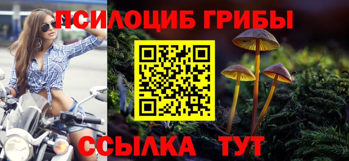 Псилоцибиновые грибы Magic Shrooms Ефремов